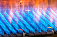 Torries gas fired boilers